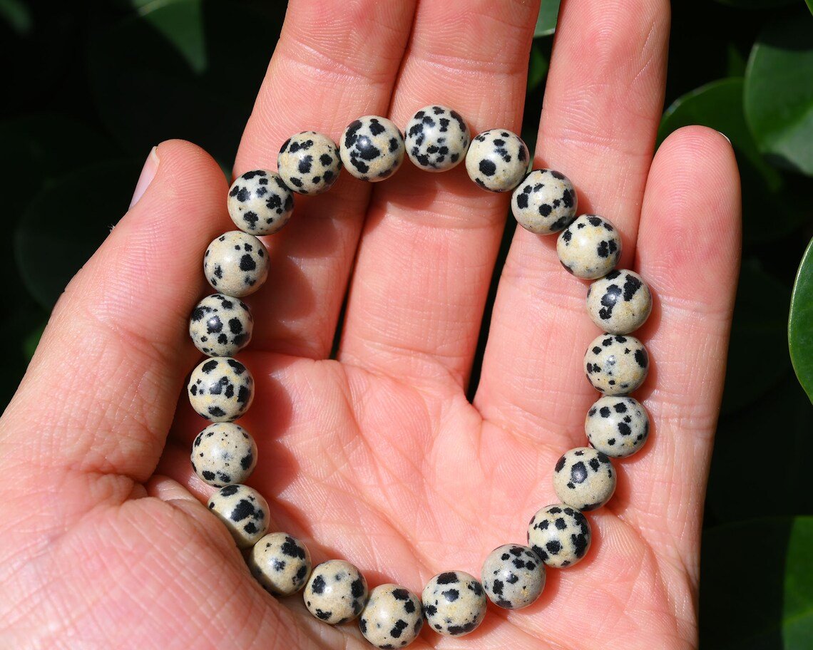 Dalmatian Jasper Bracelet