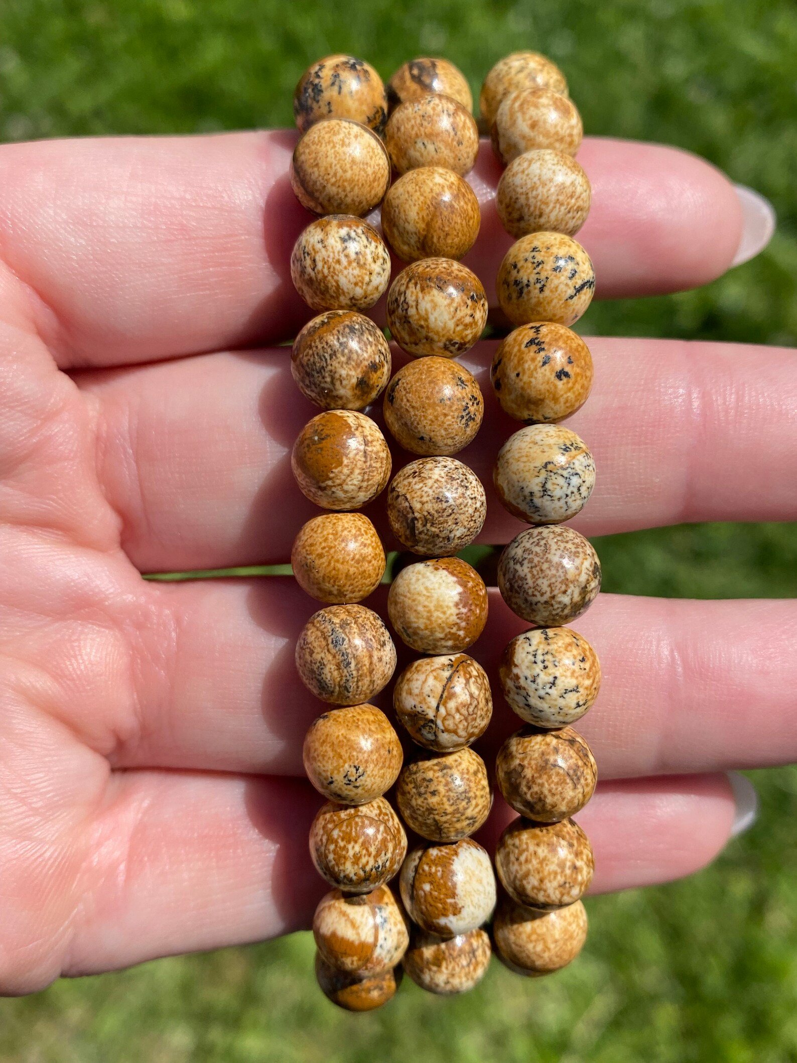 Picture Jasper Bracelet